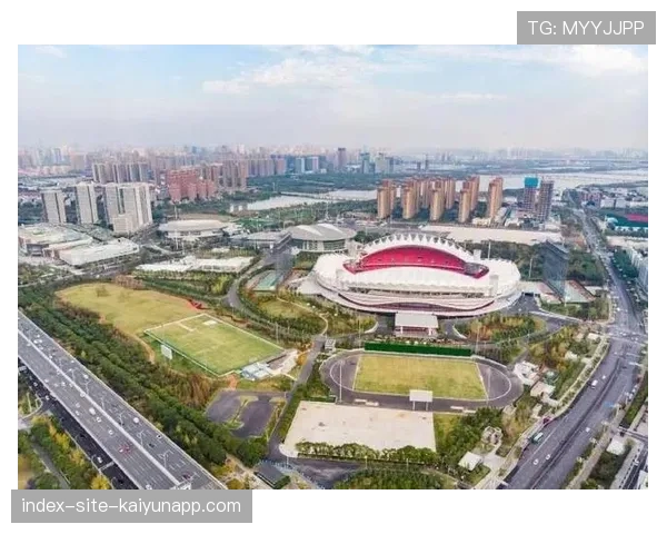 足球场馆预算透明化：示范模板与执行指南，标准化足球场建设费用